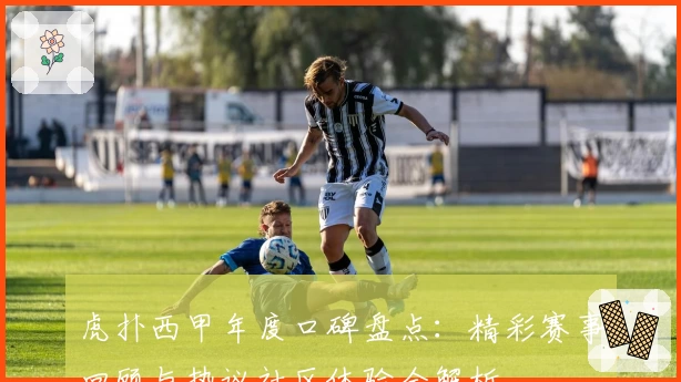 虎扑西甲年度口碑盘点：精彩赛事回顾与热议社区体验全解析