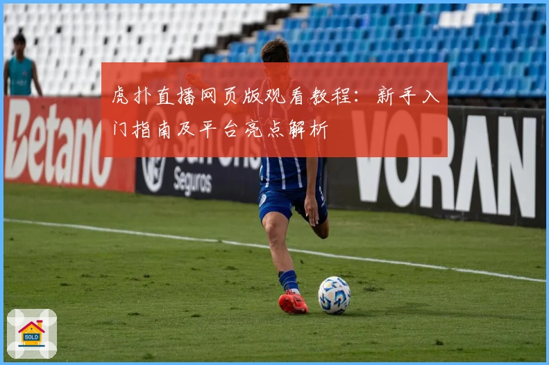 虎扑直播网页版观看教程：新手入门指南及平台亮点解析